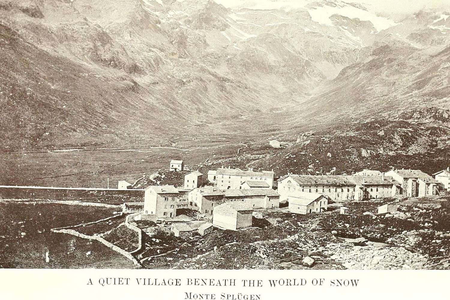 Panorama Room — Mountain View