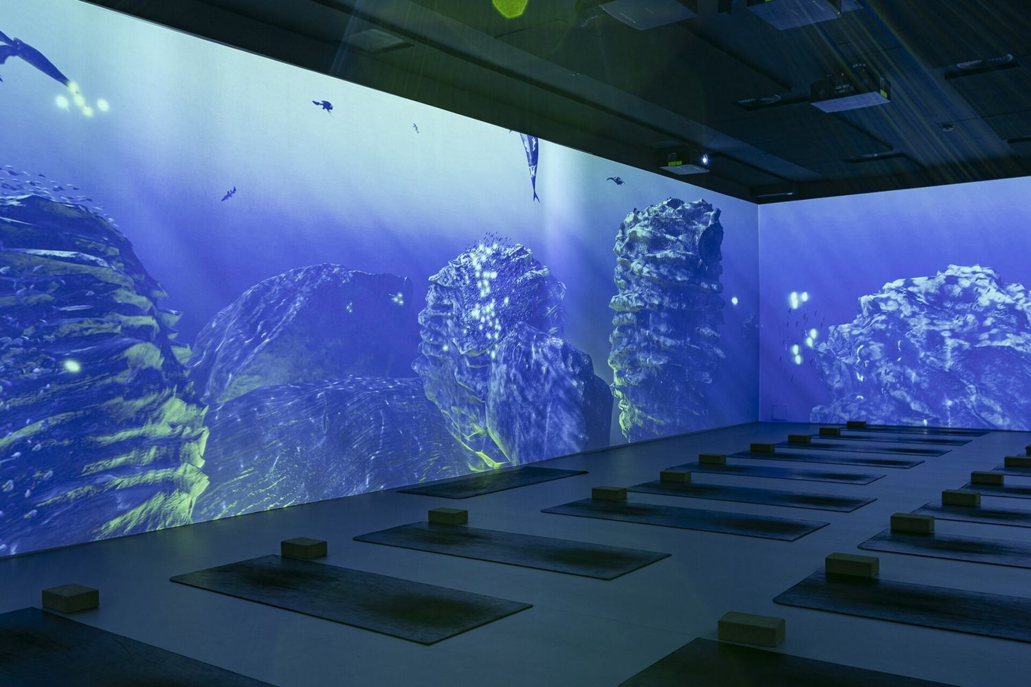 Glass yoga studio